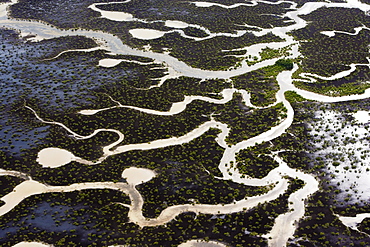 Marshes viewed from the air on the Turks and Caicos Islands. Water channels, Turks & Caicos islands