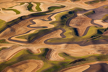 Farmland landscape, with ploughed fields and furrows in Palouse, Washington, USA. An aerial view with natural patterns, Palouse, Washington, USA