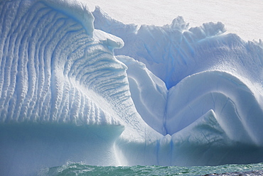 Iceberg along the Antarctic Peninsula, Antarctica