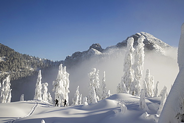 Two hikers enjoy a blue bird day in the middle of winter in the snow covered Cascade Mountains, Cascade Mountains, Washington, USA