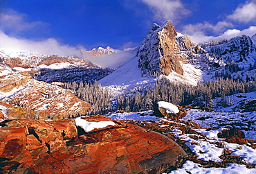 Winter in Cottonwood Canyon in the mountains of the Wasatch Range. Pine forests in snow with low cloud. The Twin Peaks wilderness area, Wasatch Mountains, Utah, USA