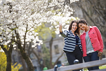 People outdoors in the city in spring time. New York City park. A young woman holding out a phone to take a photograph of herself and a companion, New York City, USA