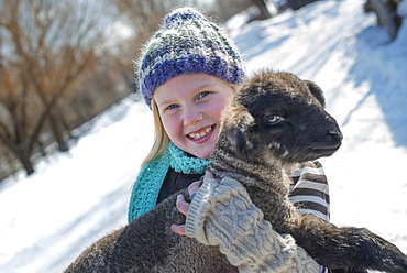 Winter scenery with snow on the ground. A young girl holding a young lamb, Provo, Utah, USA