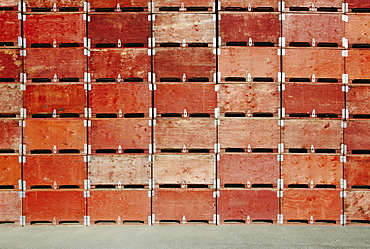 Large stack of fruit boxes for harvesting and storing apples, near Quincy, Quincy, Grant County, Washington, USA