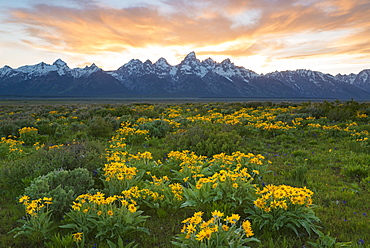 The Teton mountain range in the Grand Teton national park at sunset, Grand Teton National Park, Wyoming, USA