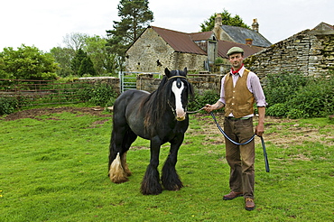 A farm worker holding a horse on a leading rein, Farm, Gloucestershire, England