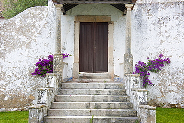 Steps up to a house door with flowering purple bougainvillea, Sonega, Portugal