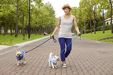 Woman walking two dogs on a paved path, Kyoto, Honshu Island, Japan