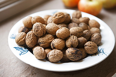 A bowl of walnuts on a kitchen table with some apples. Late summer harvest, Herefordshire, England