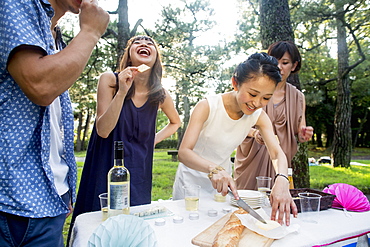 Group of friends at an outdoor party in a forest, Kyoto, Japan