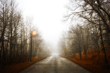 A road through the woods in winter, lit by street lights. Low mist, Misty path, Saskatchewan, Canada