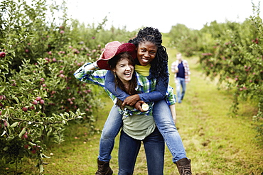 Rows of fruit trees in an organic orchard. A young woman giving another a piggyback, New York State, USA