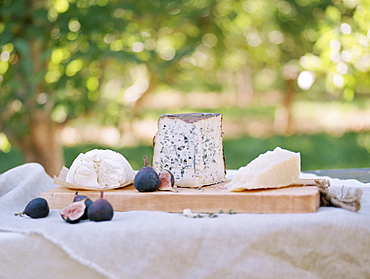 An apple orchard in Utah. A table with food, a cheese board, Sataquin, Utah, United States of America