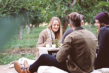 An apple orchard in Utah. Group of people sitting on the ground, food and drink on a table, Sataquin, Utah, United States of America