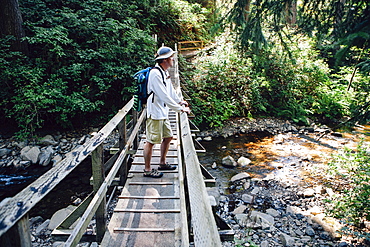 Man walking across small foot bridge in lush temperate rainforest in Oregon, Oswald West State Park, Tillamook County, Oregon, USA