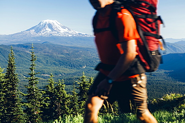 The national forest and Goat Rocks Wilderness, Cascade Range in Washington, Skamania County, Washington, USA