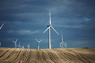 A number of wind turbines reaching into the distance in the farming landscape. Fields of stubble, United States of America