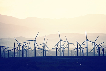 Wind power turbines in the landscape. A large number of turbine powers on a plain against a mountain backdrop, United States of America