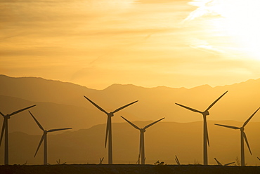 A group of wind power turbines in the sunset, United States of America