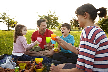 A family, two parents and two children outdoors in the summer having a picnic, England, United Kingdom