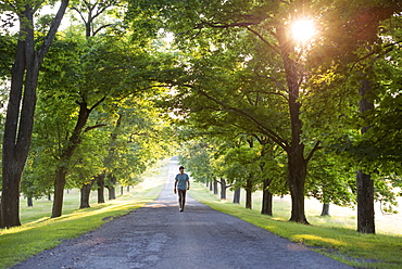 A man walking down a tree lined avenue in the countryside, Woodstock, New York, USA