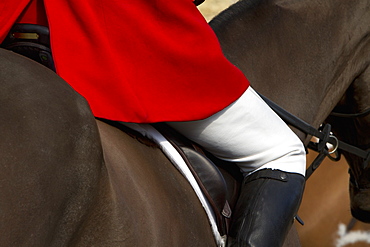 A Master of Foxhounds in a traditional hunting coat, on horseback, Master of Foxhounds, England