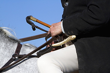 A man in hunting jacket and breeches, with riding crop seated on horseback, Horserider, England