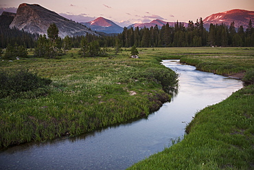 View of a river running through the Tuolumne Meadows in California at dusk.