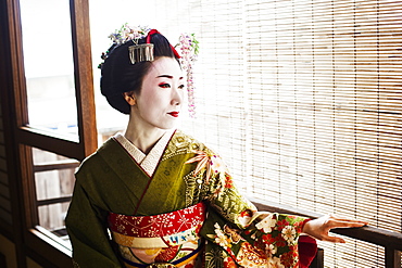 A woman dressed in the traditional geisha style, wearing a kimono and obi, with an elaborate hairstyle and floral hair clips, with white face makeup with bright red lips and dark eyes, Japan