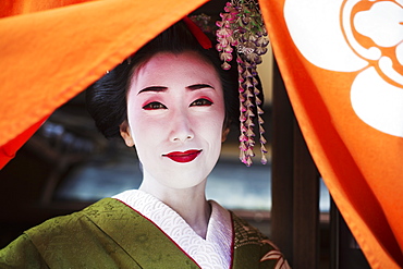 A woman dressed in the traditional geisha style, wearing a kimono with an elaborate hairstyle and floral hair clips, with white face makeup with bright red lips and dark eyes lifting an orange curtain, Japan