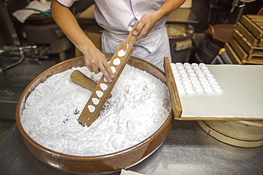 A small artisan producer of wagashi. A woman chef mixing a large bowl of ingredients and pressing the mixed dough into moulds in a commercial kitchen, Japan