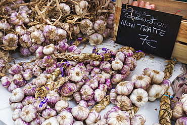 A market stall, fresh produce for sale. Fresh garlic bulbs, France