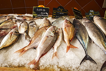 A display of fresh fish on ice on a market stall, France