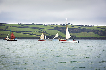 Traditional sailing boats off the coast of the estuary on the River Fal, Falmouth, Cornwall, Fal Estuary, Cornwall, England