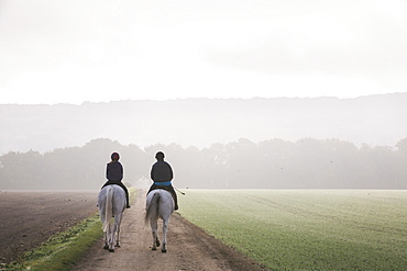 Rear view of two riders on grey horses riding along a path through a field.