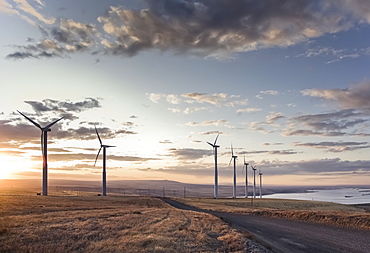 A group of wind turbines standing next to a road in a moorland landscape on the coast at dawn.