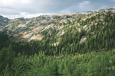 Fall in the North Cascades, near Cutthroat Pass, Washington, United States of America