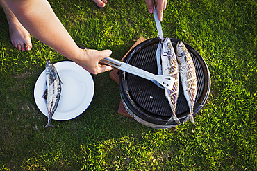 A woman barbecuing two fresh mackerel fish on a small grill, turning the fish, England, United Kingdom