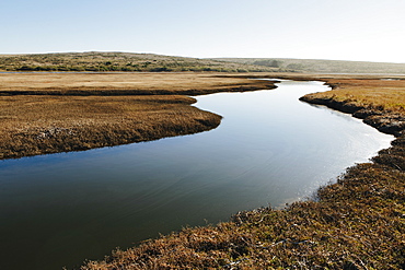 The open spaces of marshland and water channels. Flat calm water.