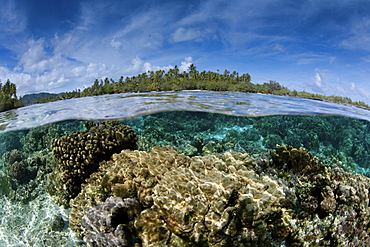 Over/under of the seabed between two small islands near Taha'a,  in French Polynesia. Fast flowing water nourishes the coral.