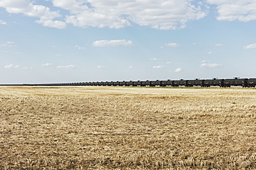 Oil train cars and fallow farmland, near Swift Current, Saskatchewan, Canada