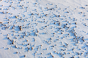 High angle view of small rock formations at dusk, Grasslands National Park, Saskatchewan, Canada