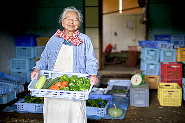 Elderly woman with grey hair standing in front of barn, holding blue plastic crate with fresh vegetables, smiling at camera, Japan