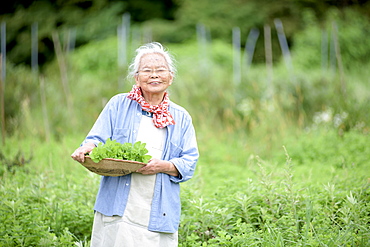 Elderly woman with grey hair standing in a garden, holding basket with fresh vegetables, smiling at camera, Japan