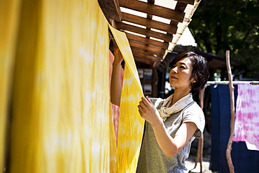 Japanese woman standing in a textile plant dye workshop, hanging up freshly dyed bright yellow fabric, Kyushu, Japan