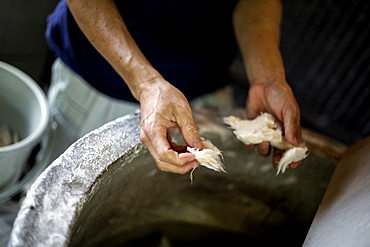 Man's hands separating pieces of vegetable fibres to make traditional Washi paper, Kyushu, Japan