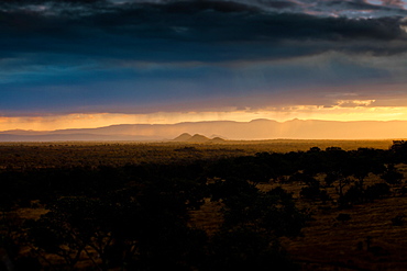 A landscape, dark trees and bushes in foreground, silhouette of mountains in the background, heavy grey clouds, sunset with rain in the background, Londolozi Game Reserve, Sabi Sands, Greater Kruger National Park, South Africa