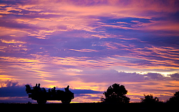 A silhouette of the side profile of people sitting in a Land Rover against pink, purple and yellow sunset sky, Londolozi Game Reserve, Sabi Sands, Greater Kruger National Park, South Africa