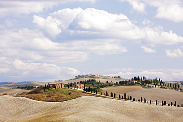 Desert Landscape in La Crete Sinesi, Siena, Tuscany, Italy