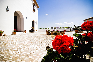 Courtyard of Hotel, Antequera, Andalucia, Spain